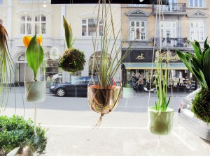 hænge planter og planteplaneter i vinduet